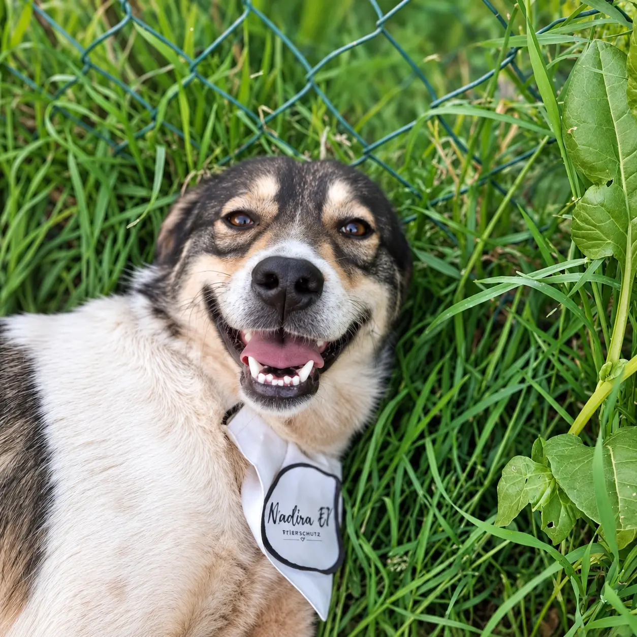Read more about the article Wilma