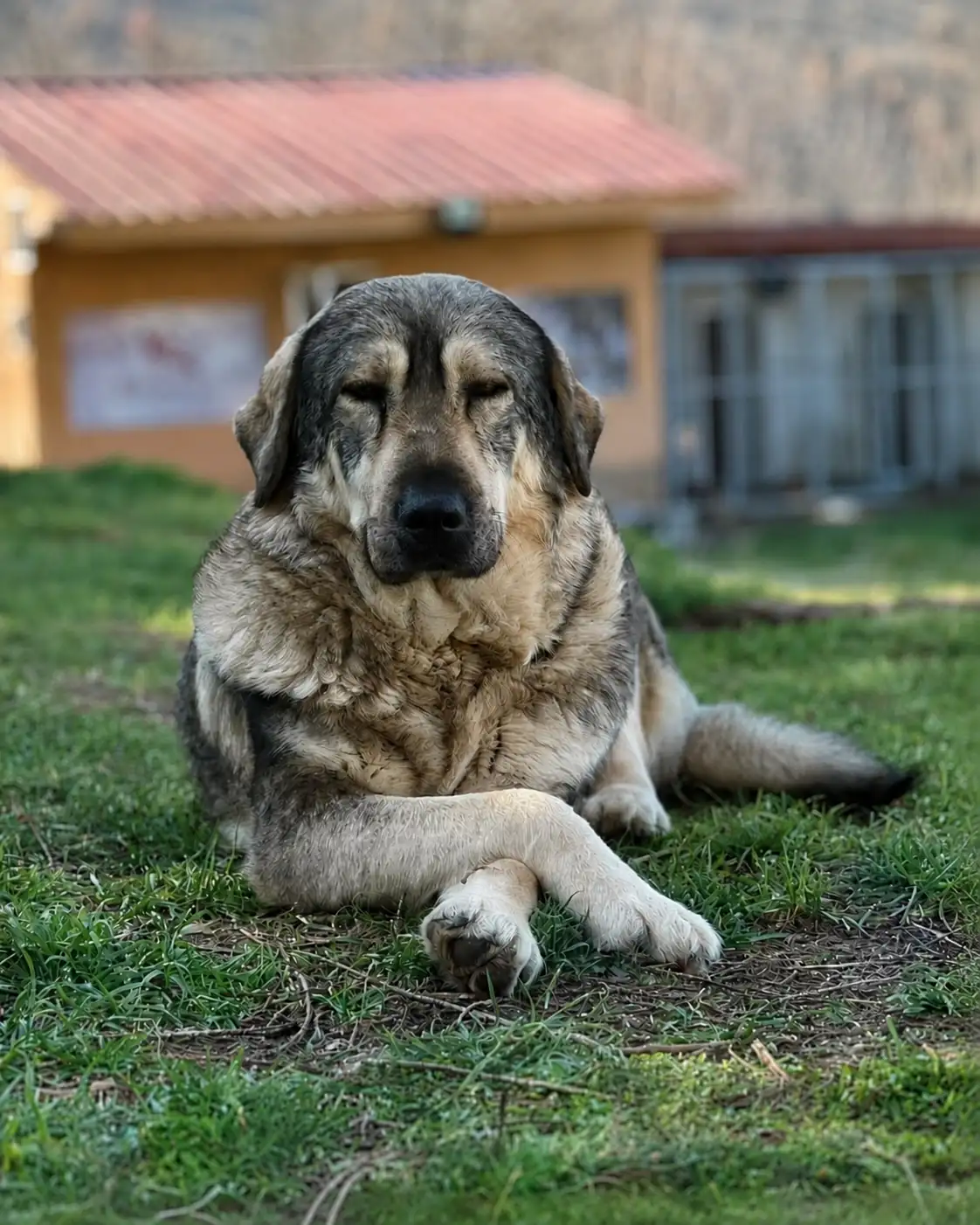 Read more about the article Waldo, Otis und Bert
