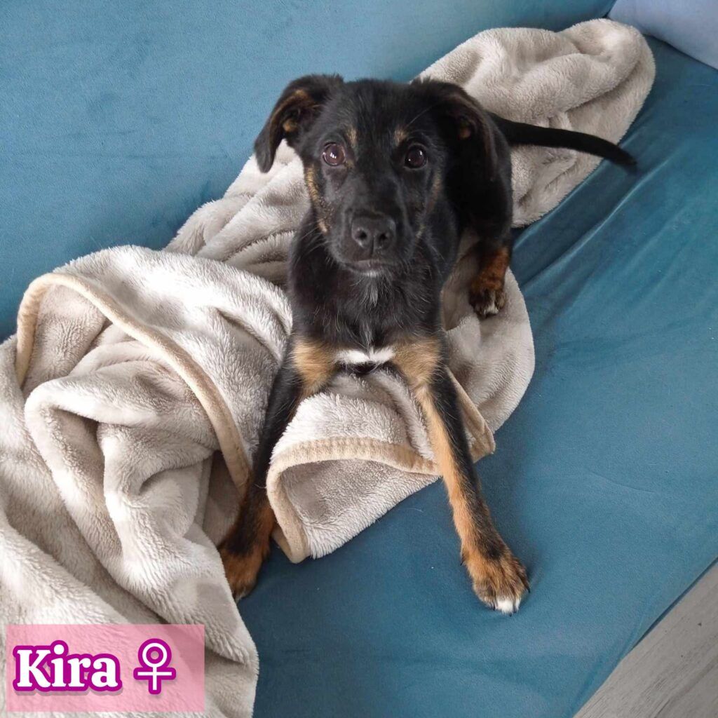 Kira