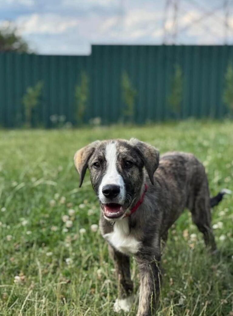 Parker