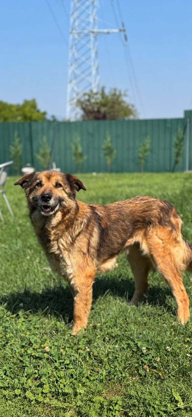 Bella